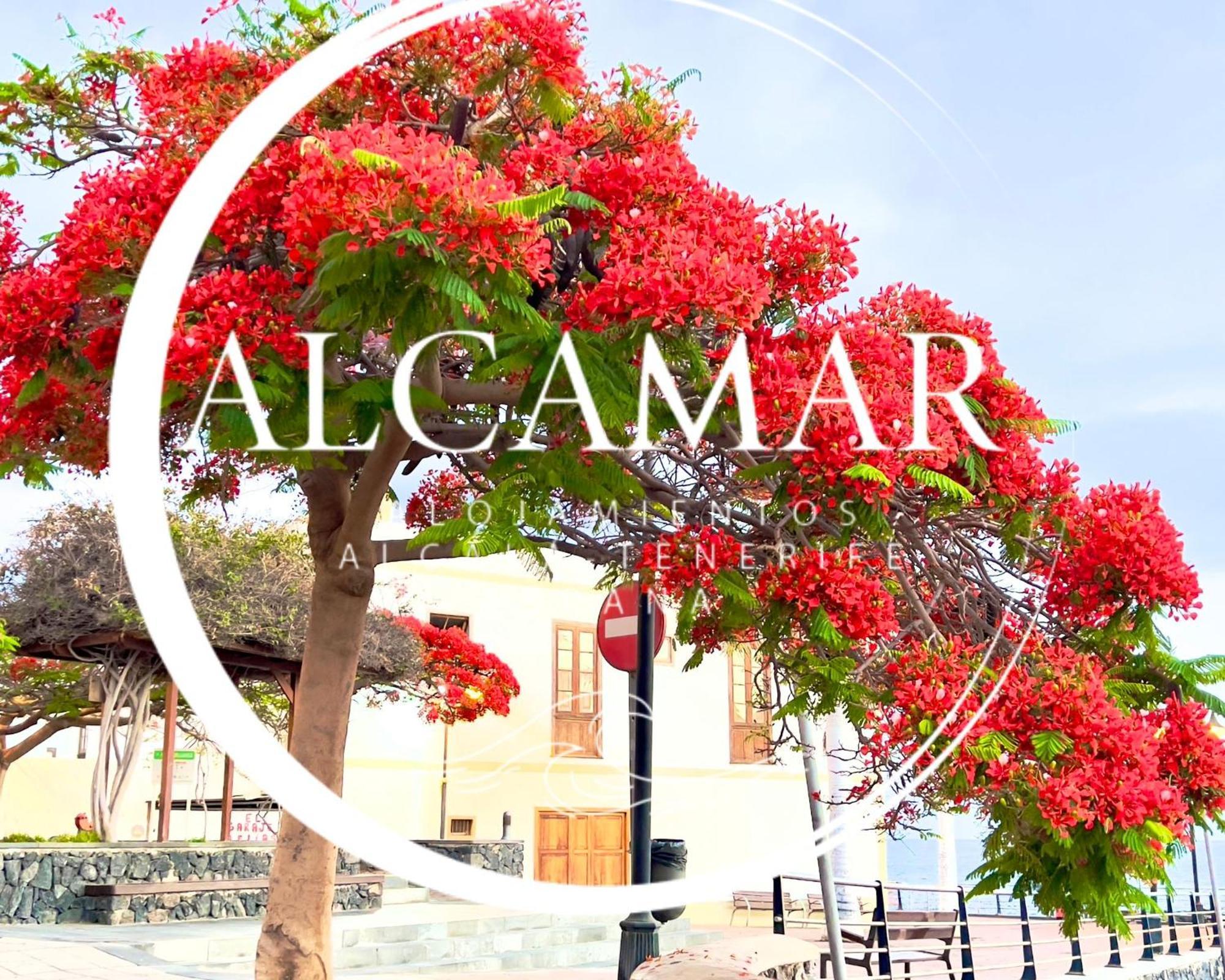 Alcamar Habitacion Privada Con Las Areas De Sala, Cocina Y Bano Que Se Comparten Cerca Al Mar! Alcalá la Real Εξωτερικό φωτογραφία
